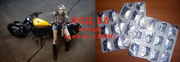 a pvp Пестово